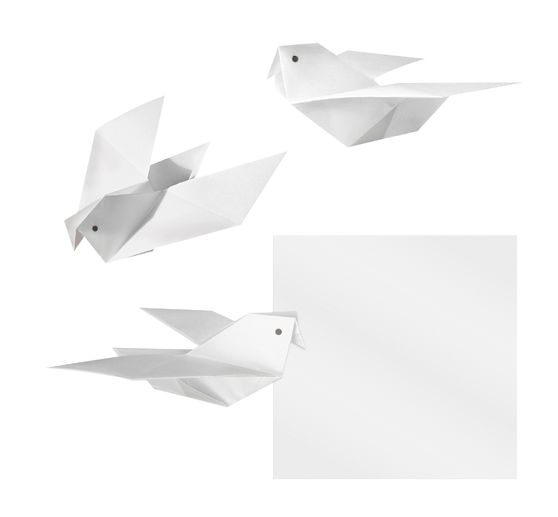 Transparent folding sheets, white