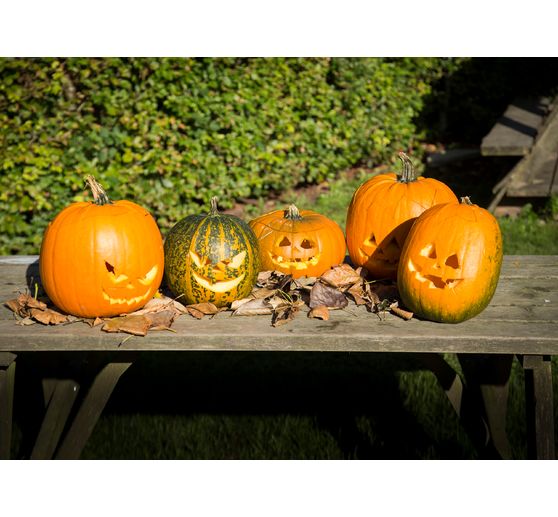 Pumpkin Carving set, 5 pcs.