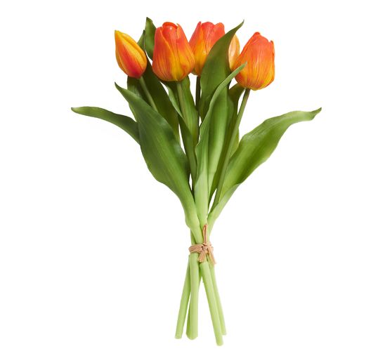 Tulips bunch with 3 flowers and 2 buds